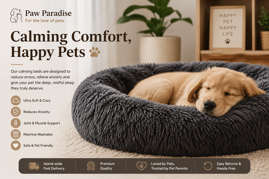 How Calming Pet Beds Reduce Anxiety & Improve Sleep in Dogs and Cats